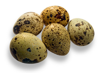 Similar image 117588