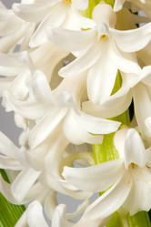 Similar image 117611