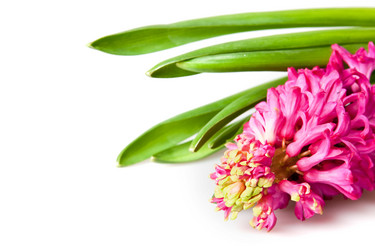 Similar image 117612