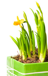 Similar image 117615