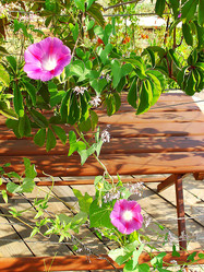 Similar image 117650