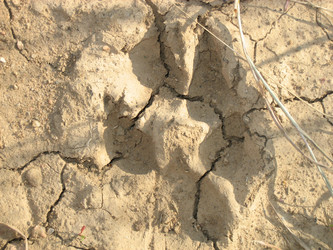 Similar image 117657