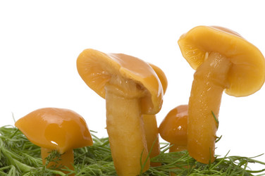 Similar image 117693