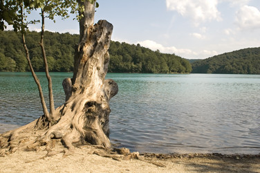 Similar image 117730