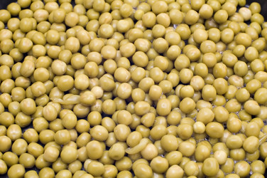 Similar image 117768