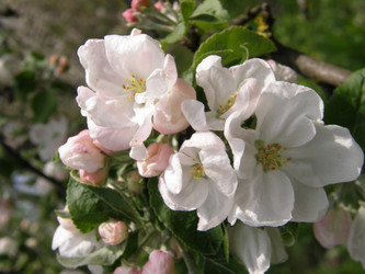 Similar image 117873