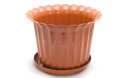 Similar image 117881