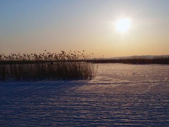 Similar image 117893