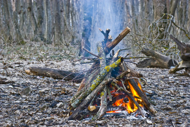 Similar image 117954