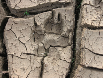 Similar image 117959