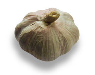 Similar image 117976