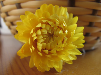 Similar image 117999