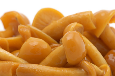 Similar image 118007