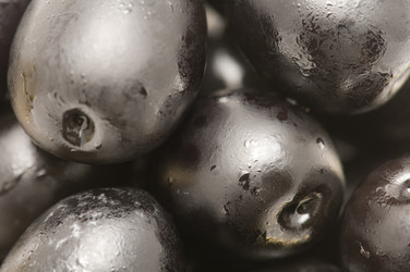 Similar image 118017