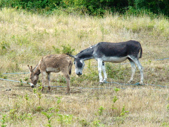 Similar image 118071