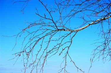 Similar image 118076