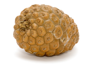 Similar image 118080