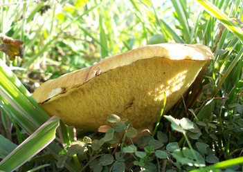 Similar image 118095