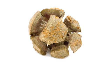 Similar image 118110