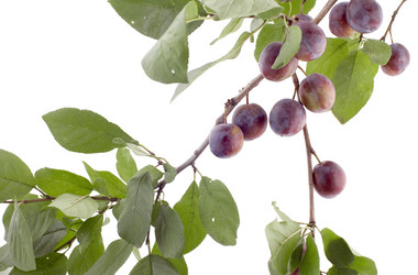 Similar image 118111