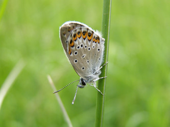 Similar image 118171