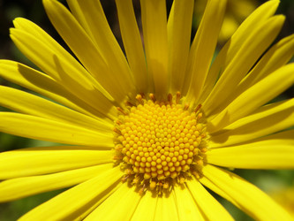 Similar image 118184