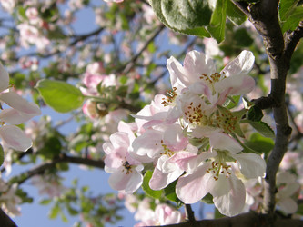 Similar image 118207