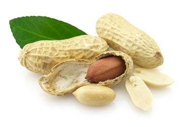 Similar image 118237