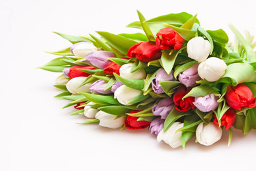 Similar image 118243