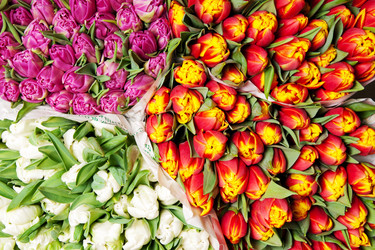 Similar image 118248