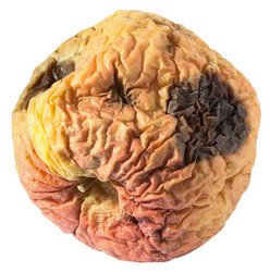 Similar image 118287