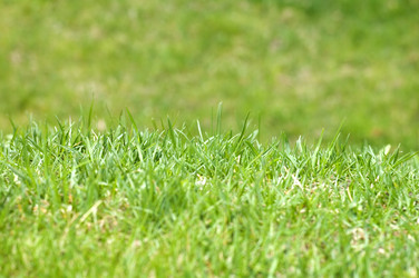 Similar image 118296