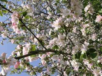 Similar image 118299