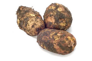 Similar image 118320