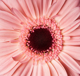 Similar image 118322