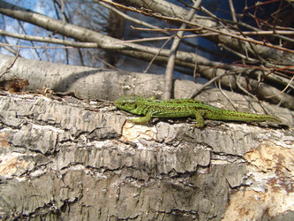 Similar image 118326