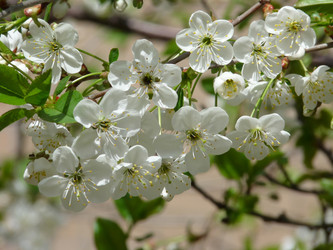 Similar image 118333