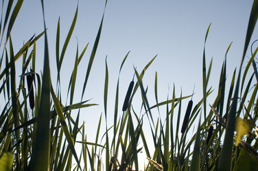 Similar image 118339