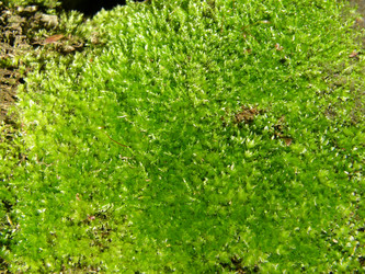 Similar image 118352