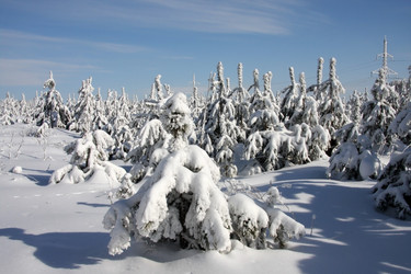 Similar image 118366