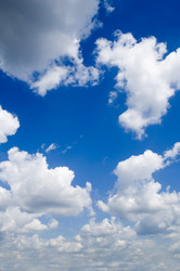 Similar image 118368