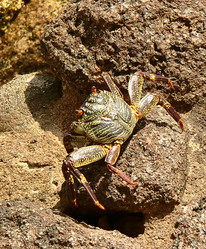 Similar image 118426