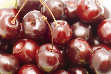 Similar image 118541