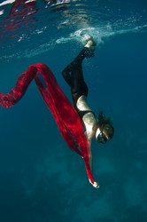 Similar image 118552