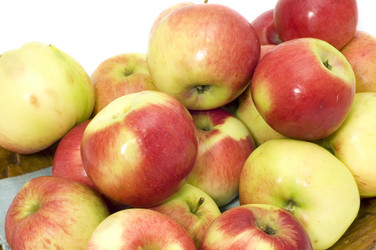 Similar image 118593