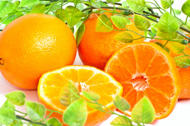 Similar image 118607