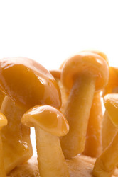 Similar image 118611