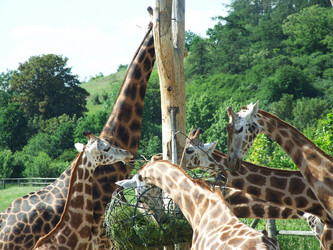 Similar image 118643