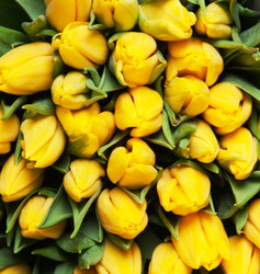 Similar image 118729