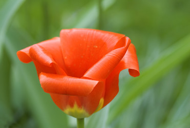 Similar image 118766